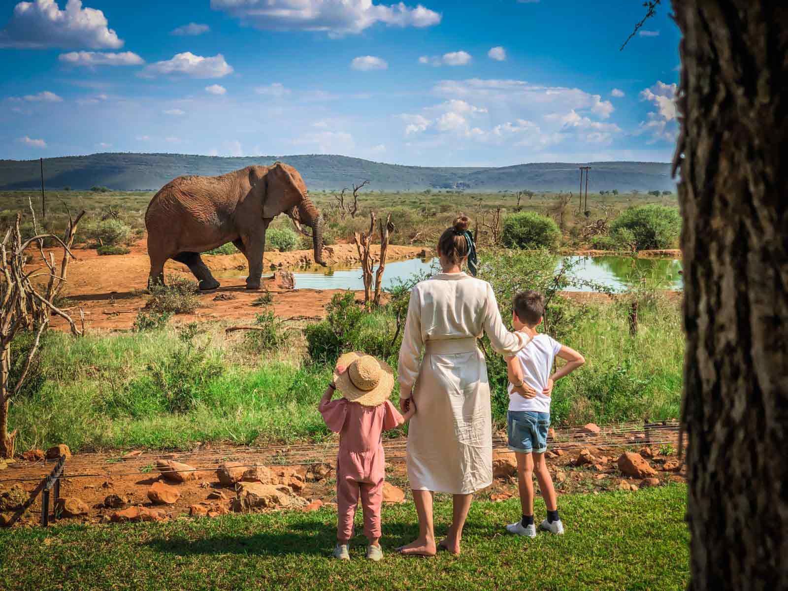 7 Day Luxury Tanzania safari